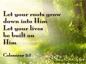 Colossians 2:7
